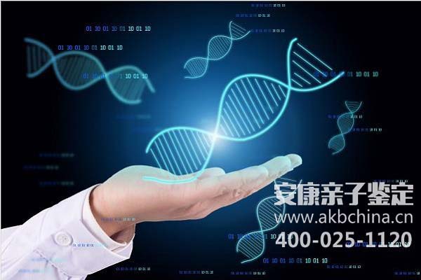 北京江门非婚生子DNA 江门DNA亲子鉴定需要的材料 