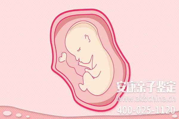北京怀孕期间做亲子鉴定吗,怀孕如何做亲子鉴定吗 