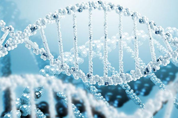 合肥DNA指纹法的优点和缺点 
