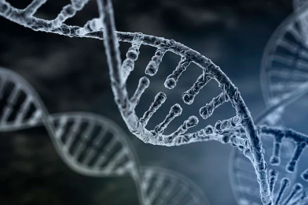 北京冷冻胚胎还能DNA吗？ 