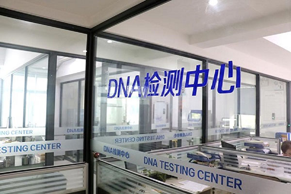 北京头发做DNA鉴定费用大概是多少（详解DNA检测价格） 